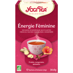 Infusion ayurvedique energie f