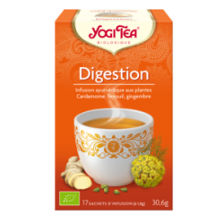 Infusion ayurvedique digestion
