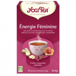Infusion ayurvedique energie f