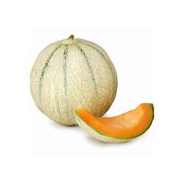 Melon charentais 11pc
